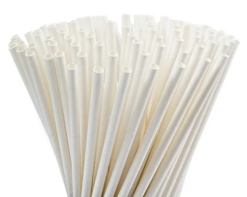 প্লাস্টিক ব্যবহারে নিষেধাজ্ঞায় এবার বাজারে আসছে কাগজের তৈরি স্ট্র