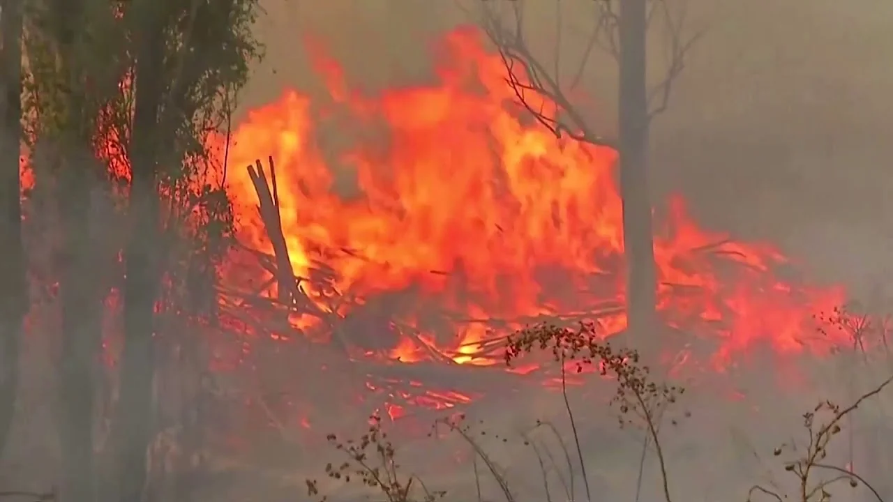 গ্রিসে দাবানল : সব ছেড়ে পালাচ্ছে মানুষ  