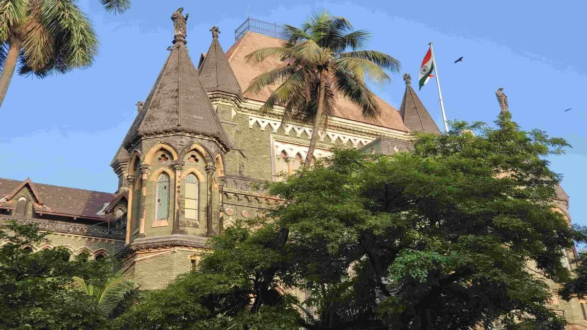 পায়রাদের খাওয়ানো বন্ধ, নির্দেশ জারি বম্বে হাইকোর্টের