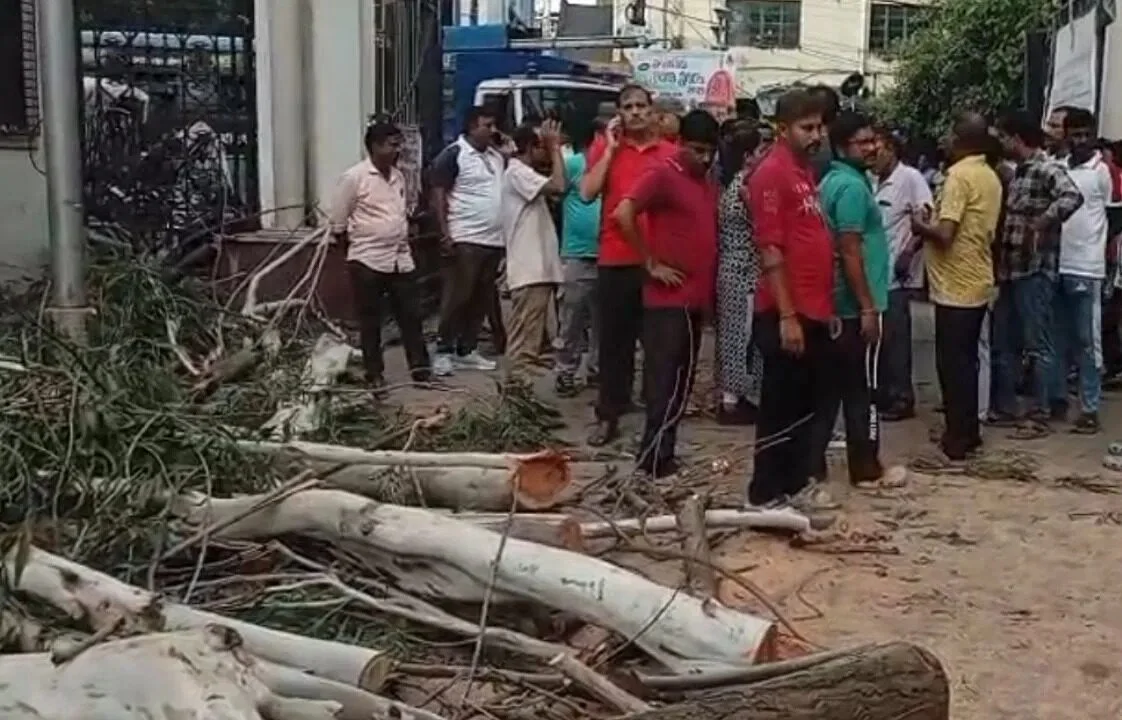 ইউক্যালিপটাস গাছ ভেঙে হাওড়া পুরোনিগমে মৃত ২ কর্মী