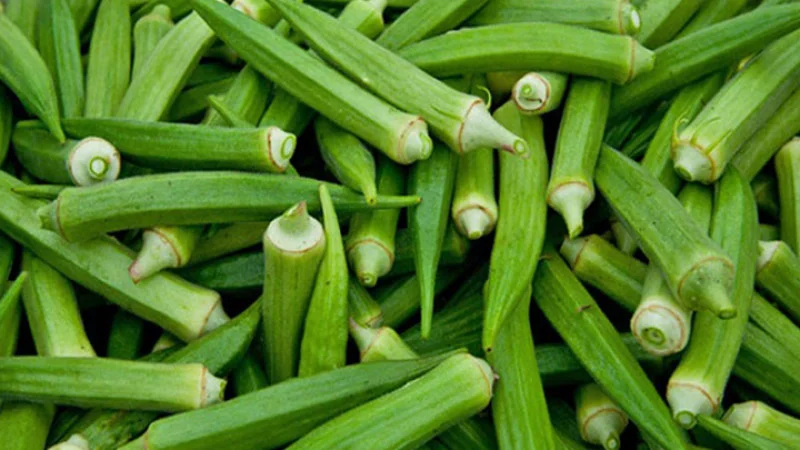 ওজন কমানো থেকে হার্টের সমস্যা, ঢ্যাঁড়সের গুণ জানলে কাল থেকেই খাবেন 