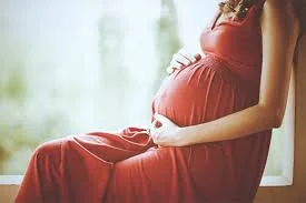 আট মাসের অন্তঃসত্ত্বা সোনালি বিবির মামলা দ্রুত শোনার নির্দেশ দিল সুপ্রিম কোর্ট