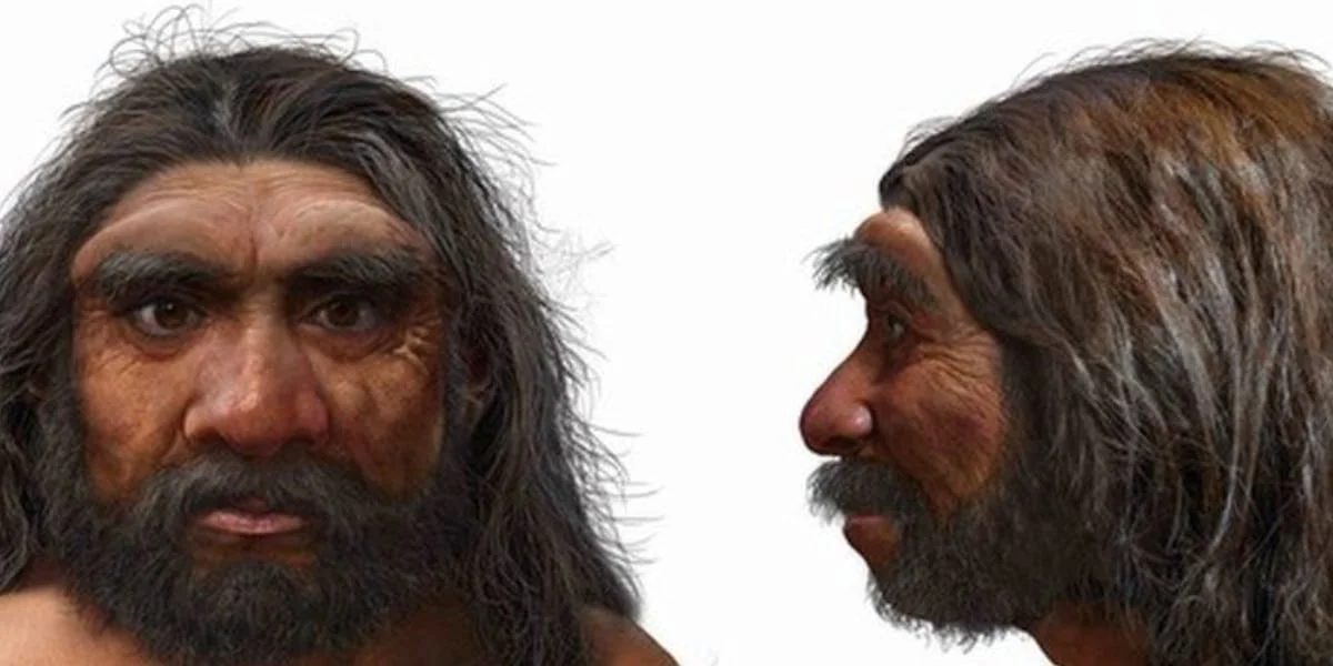 লক্ষাধিক বছর আগে পূর্ব এশিয়ায় দাপিয়ে বেড়াত ‍‌‌‌‌‌‌’ড্র্যাগন ম্যান’রা