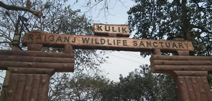 করোনার লাল চোখ উপেক্ষা করে গন্তব্য  হোক পাখিদের  স্বর্গরাজ্য কুলিক