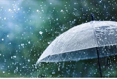 বঙ্গোপসাগরে নিম্নচাপ, ১২ জুলাই থেকে ফের বর্ষার ঝোড়ো ইনিংস, বলছে মৌসম ভবন