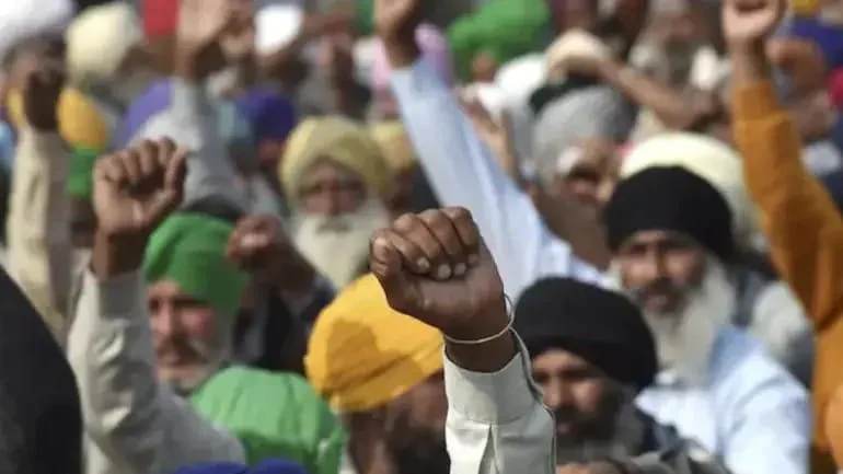 কৃষি আইনের রিপোর্ট জনসমক্ষে আনা হোক, প্রধান বিচারপতিকে বললেন প্যানেল সদস্য