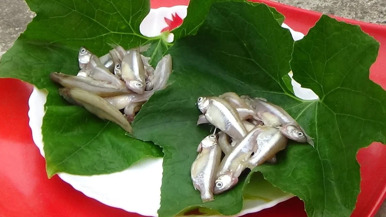 কি চুনো মাছ খেতে ভালোবাসেন? তবে আপনার জন্য রইল এই রেসিপিটি