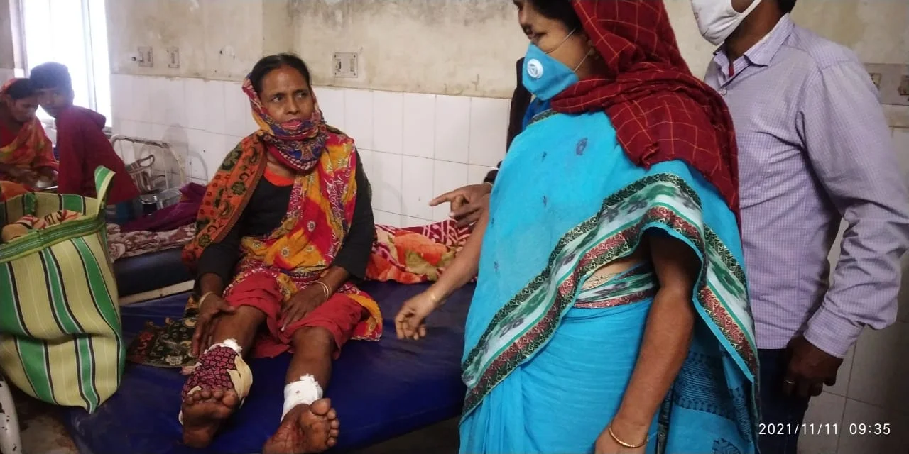 শিয়ালের দলের হানায় জখম ৪০, গণপ্রহারে মৃত্যু দুই শিয়ালের