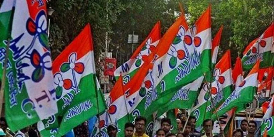 জানুন কেন ভোটে এমন ফল হল বিজেপির