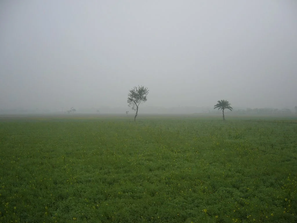 নতুন করে উলুবেড়িয়া স্টেডিয়াম সংস্কারের উদ্যোগ