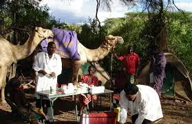 উটের পিঠে স্বাস্থ্যকেন্দ্র!