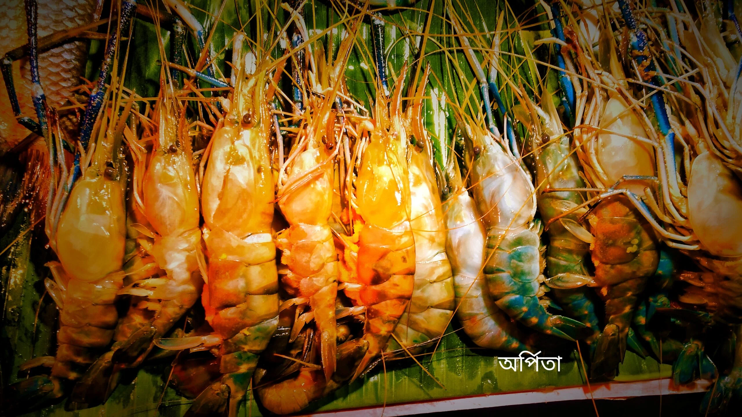 ভাইফোঁটার সকালে বাজার যাচ্ছেন? একনজরে দেখে নিন ছবি সহ সম্পূর্ণ বাজারদর