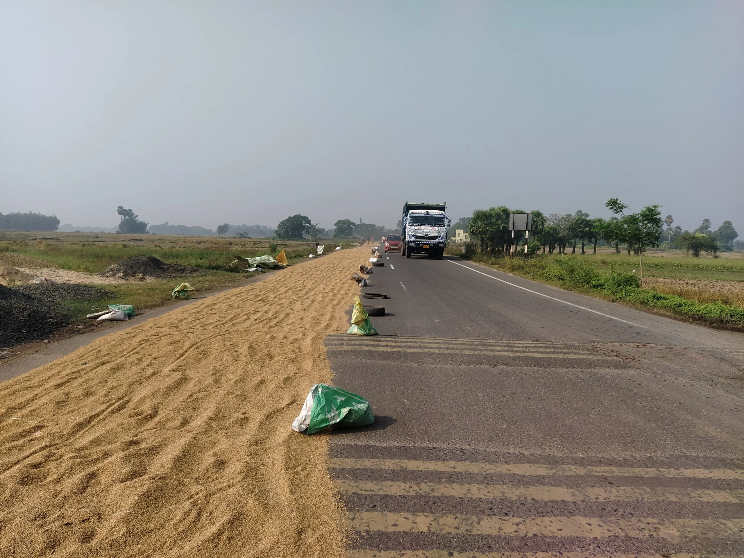 রাস্তায় চলছে ধান শুকানোর কাজ, আশঙ্কা বড় দুর্ঘটনার