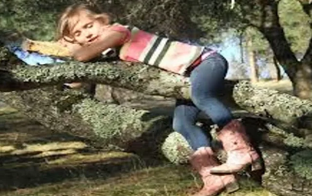 ভারতের প্রতিরক্ষা প্রধান জেনারেল বিপিন রাওয়াতের মন্তব্য ঘিরে ক্ষুব্ধ চিন