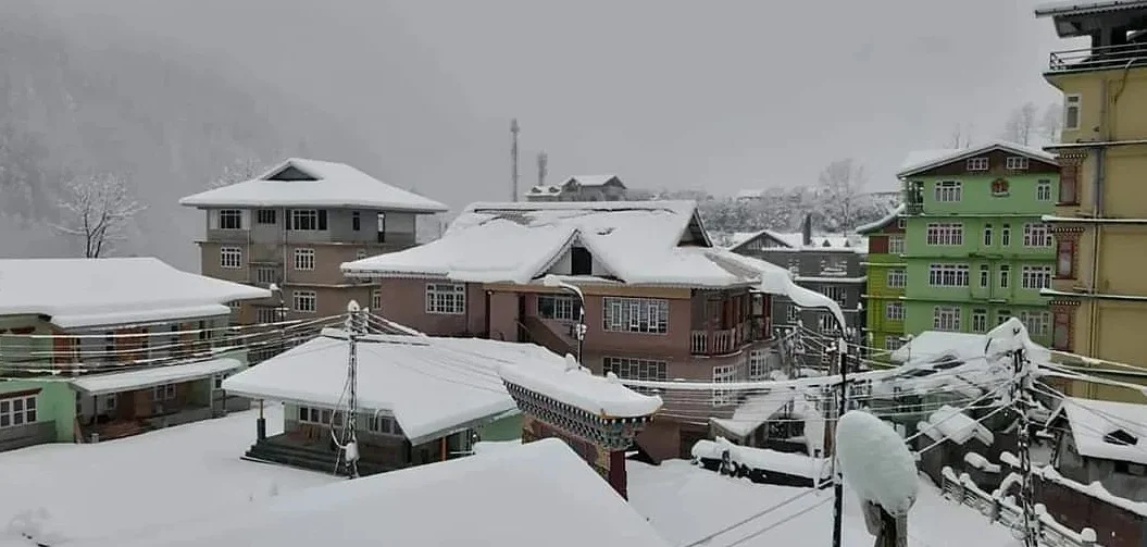 বছরের প্রথম তুষারপাতে ঢাকল দার্জিলিং থেকে সিকিম, আনন্দে মাতলেন পর্যটকেরা