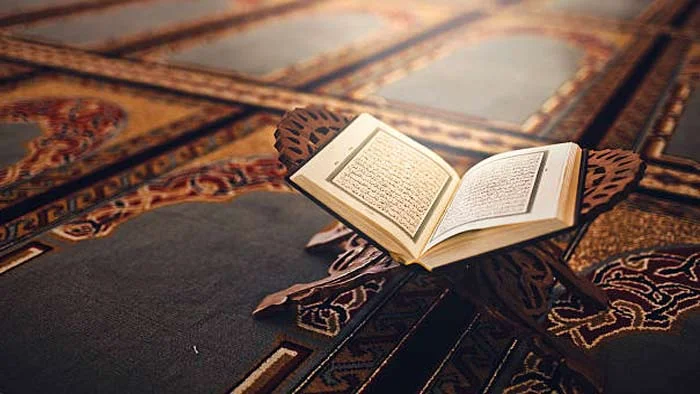 ঘরে বসে কুরআন হিফজ করল ৭ বছরের ওয়ারদা!