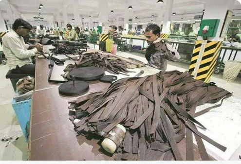 বিশ্বখ্যাত কানপুরের চামড়া শিল্প ধ্বংসের পথে, কমে গেছে ৮ লাখ কর্মসংস্থান