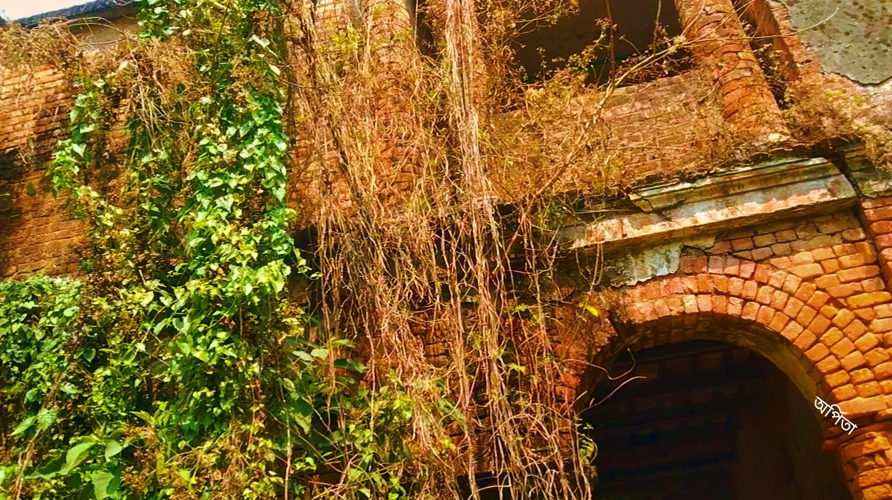 হানাবাড়ির গল্প শুনতে চান, তবে আপনাকে পড়তে হবেই