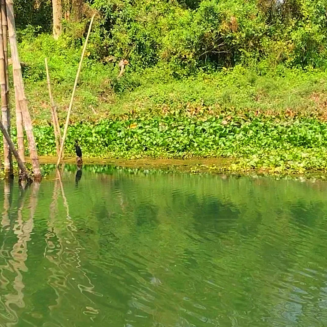 হানাবাড়ির গল্প শুনতে চান, তবে আপনাকে পড়তে হবেই