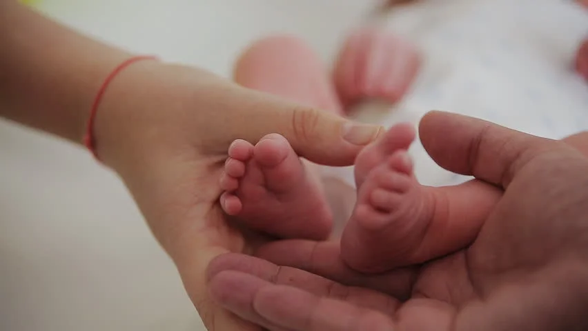 সৌহার্দ্যের বার্তা দিয়ে পৃথিবীর আলো দেখল রমযান