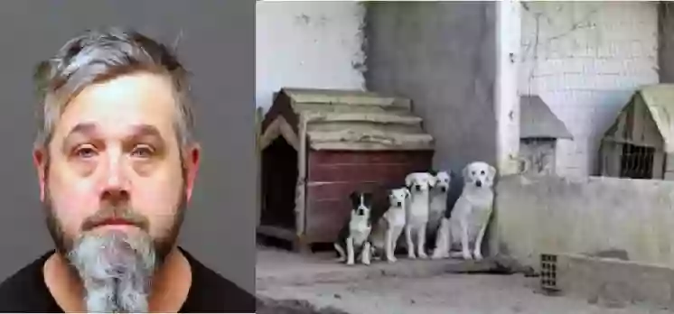 ফ্রিজে কুকুর-বিড়াল-সাপসহ ১৮৩টি প্রাণী !