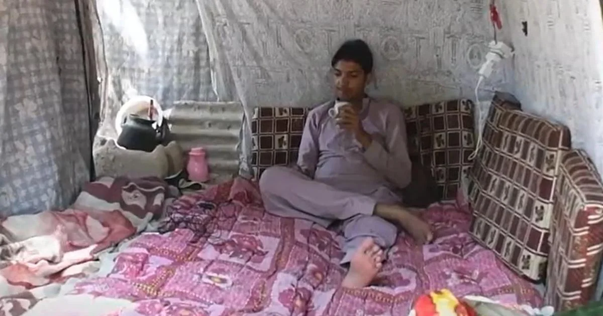 দীর্ঘ ৮ বছর ধরেই গাছে থাকেন করাচির এই যুবক!  জেনে নিন সেই করুণ কাহিনি