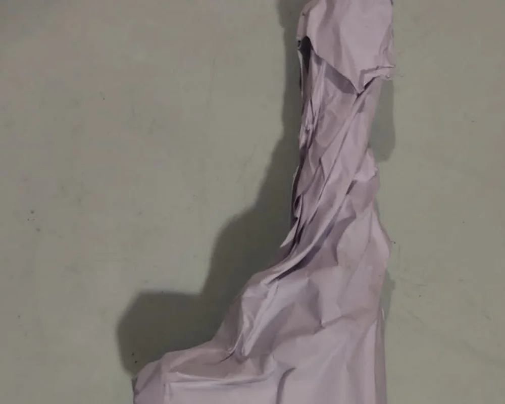 আগ্নেয়াস্ত্র সহ বিধাননগরের পৃথক থানা এলাকা থেকে পাকড়াও দুই দুষ্কৃতী