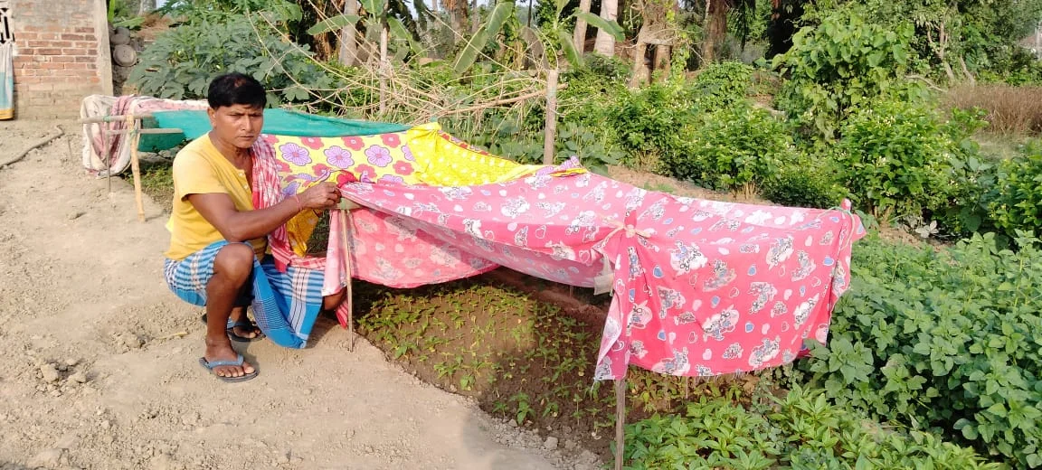 প্রচন্ড দাবদাহে ফুল ও সবজি চাষে ক্ষতির সম্ভাবনা