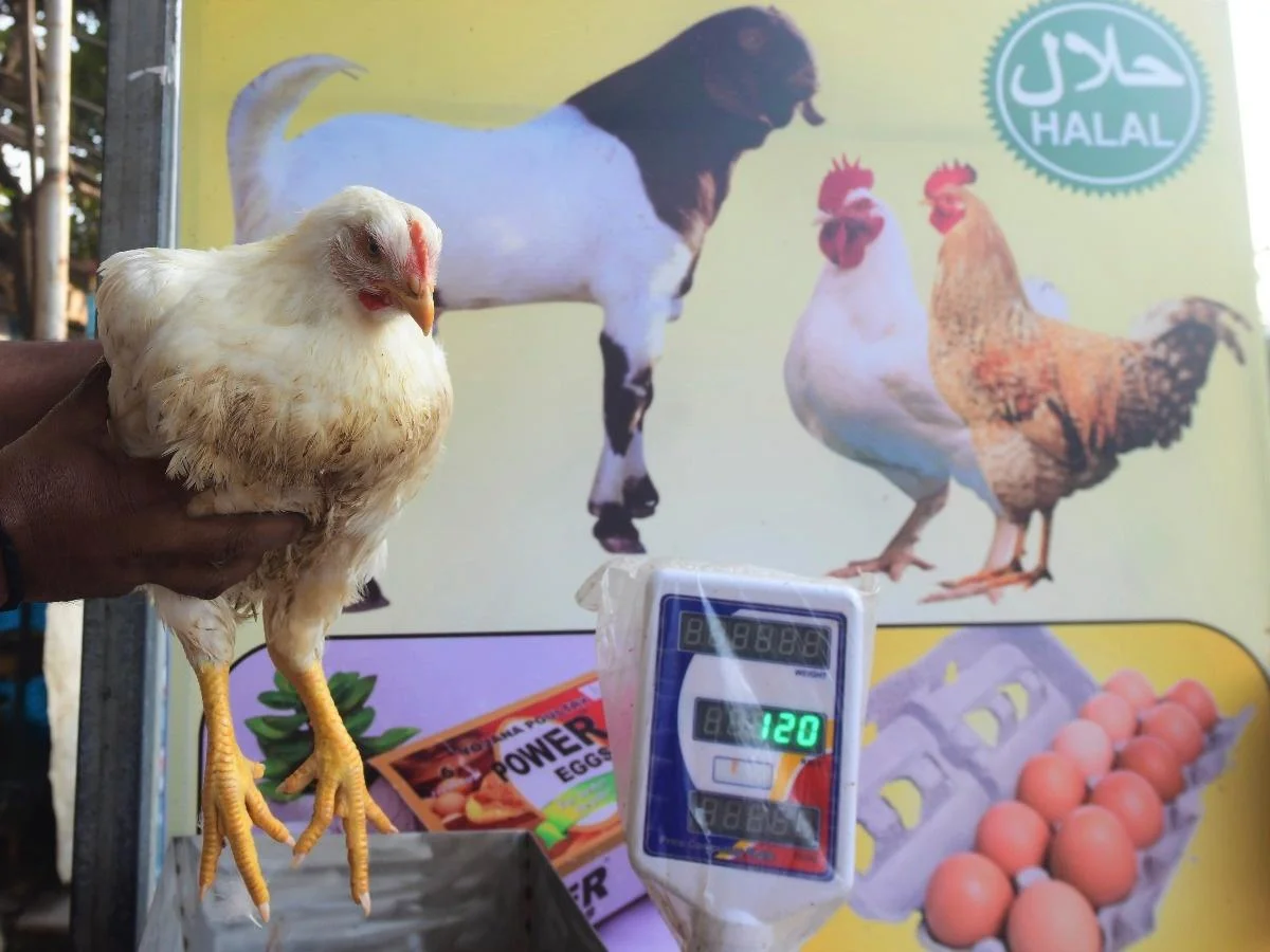 রামনবমীর দিন পশু জবাই এবং মাংসবিক্রিতে নিষেধাজ্ঞা জারি করল  বেঙ্গালুরু মহানগর পালিকা