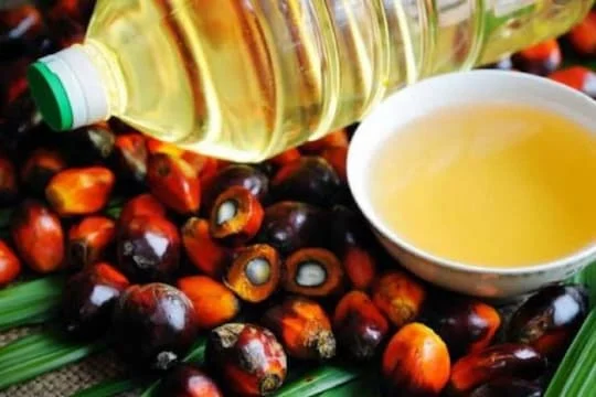 দুঃসংবাদ ! ফের বাড়তে পারে ভোজ্য তেলের দাম