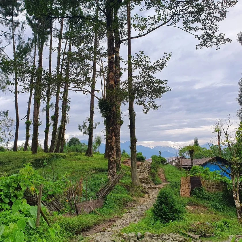 থাকতে চান সিকিমে বাইচুংয়ের স্বপ্নের হোমস্টেতে, আপনার জন্য রইল বিস্তারিত