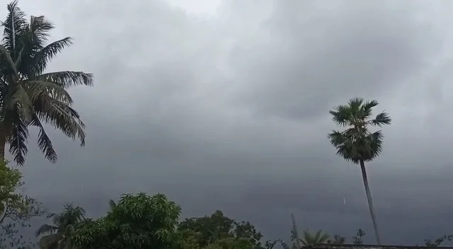 অশনির প্রভাবে দক্ষিণ ২৪ পরগণা জুড়ে বৃষ্টি, বোরোচাষে ব্যপক ক্ষতির আশঙ্কা