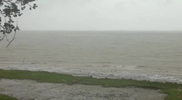অশনির প্রভাবে দক্ষিণ ২৪ পরগণা জুড়ে বৃষ্টি, বোরোচাষে ব্যপক ক্ষতির আশঙ্কা