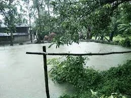 সময়ের আগেই বর্ষা ! স্বস্তির খবর দিল হাওয়া অফিস