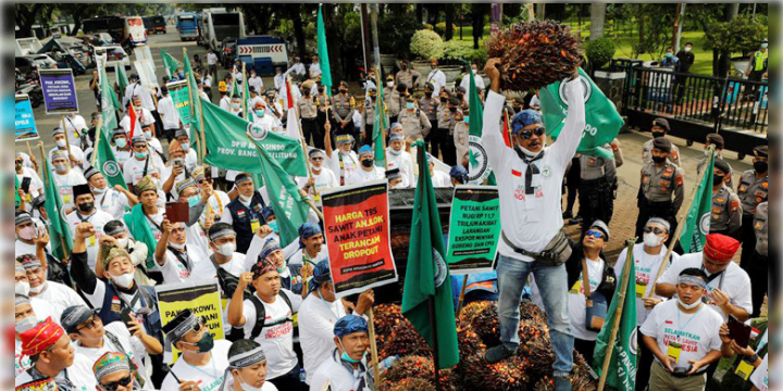 লাভবান মালয়েশিয়া, ইন্দোনেশিয়ায় পাম চাষিদের বিক্ষোভ