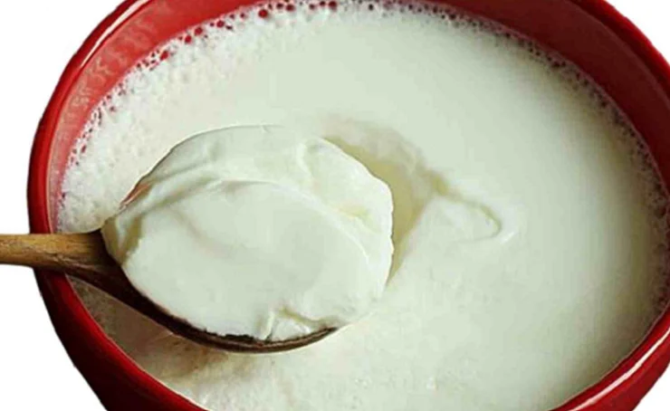 মেনুতে থাকে টক দই! জেনে নিন কি কি হতে পারে