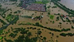 বন্যা ও ভূমিধসে বিপর্যস্ত ব্রাজিল, মৃতের সংখ্যা শতাধিক
