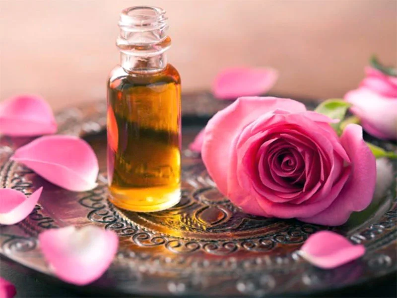 ইরানি ‘মুহাম্মাদি ফুল’ দিয়ে তৈরি হয় গোলাপ পানি-ওষুধ