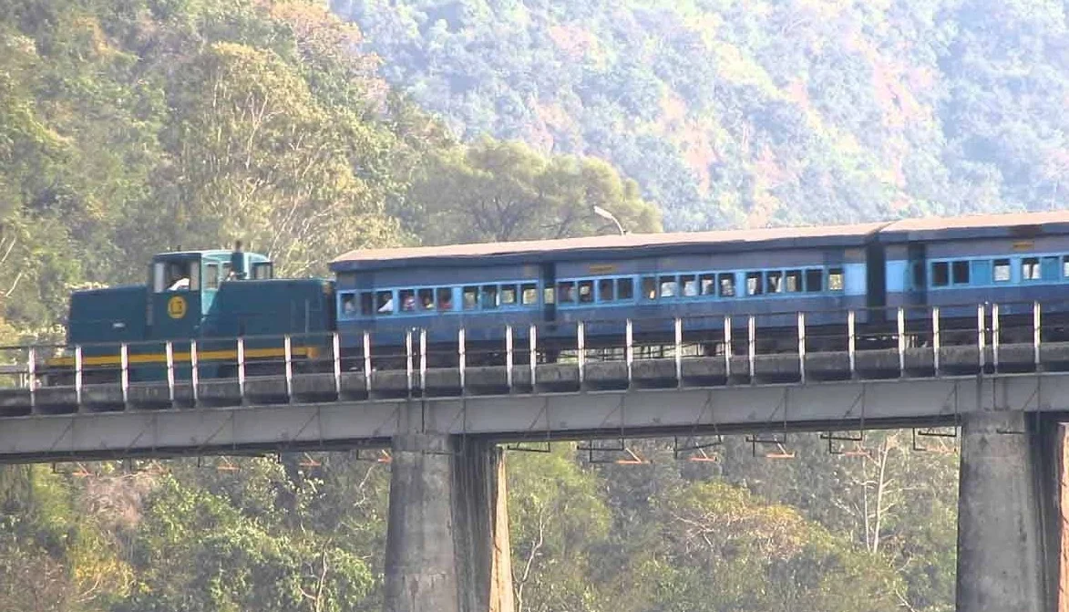 বিনামূল্যেই এই ট্রেনে সফর করতে পারবেন আপনিও! নেই কোনও টিটি