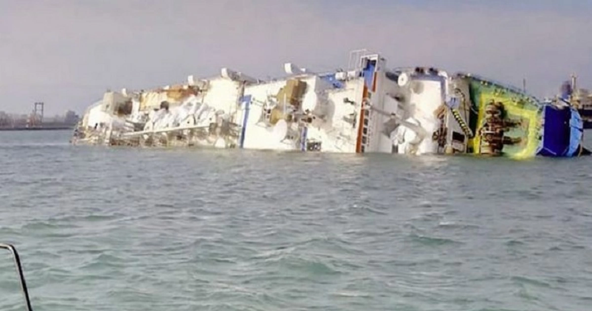 জাহাজ ডুবে ১৬ হাজার ভেড়ার মৃত্যু