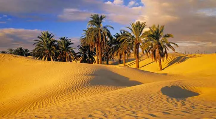 লিবিয়ার মরুতে ২০ জনের মৃত্যু