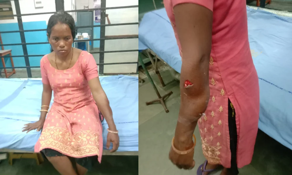 ডুয়ার্সে চিতার হামলায় গুরুতর আহত মহিলা চা শ্রমিক