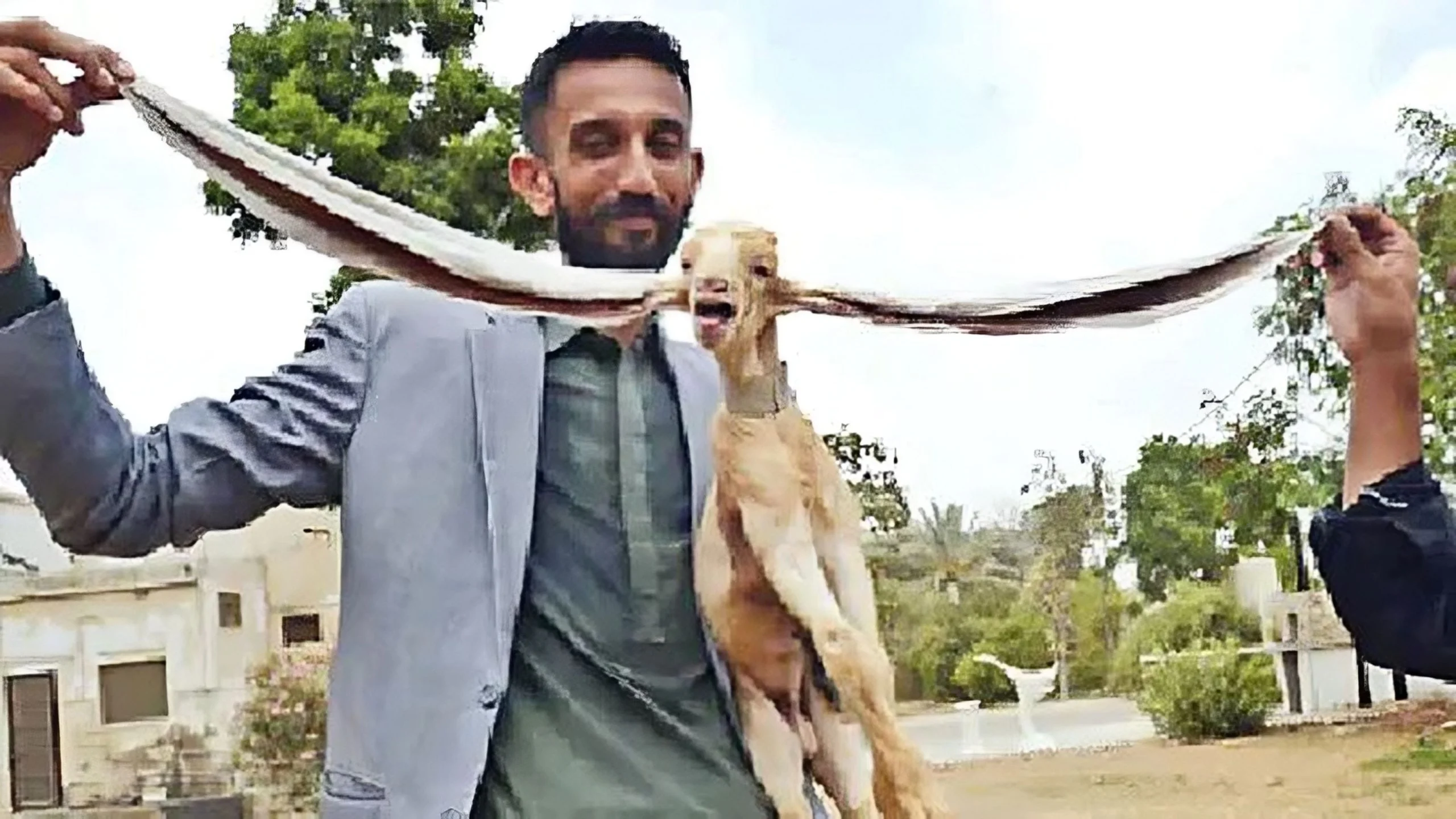 ১৯ ইঞ্চি কান নিয়ে জন্ম ছাগলছানার