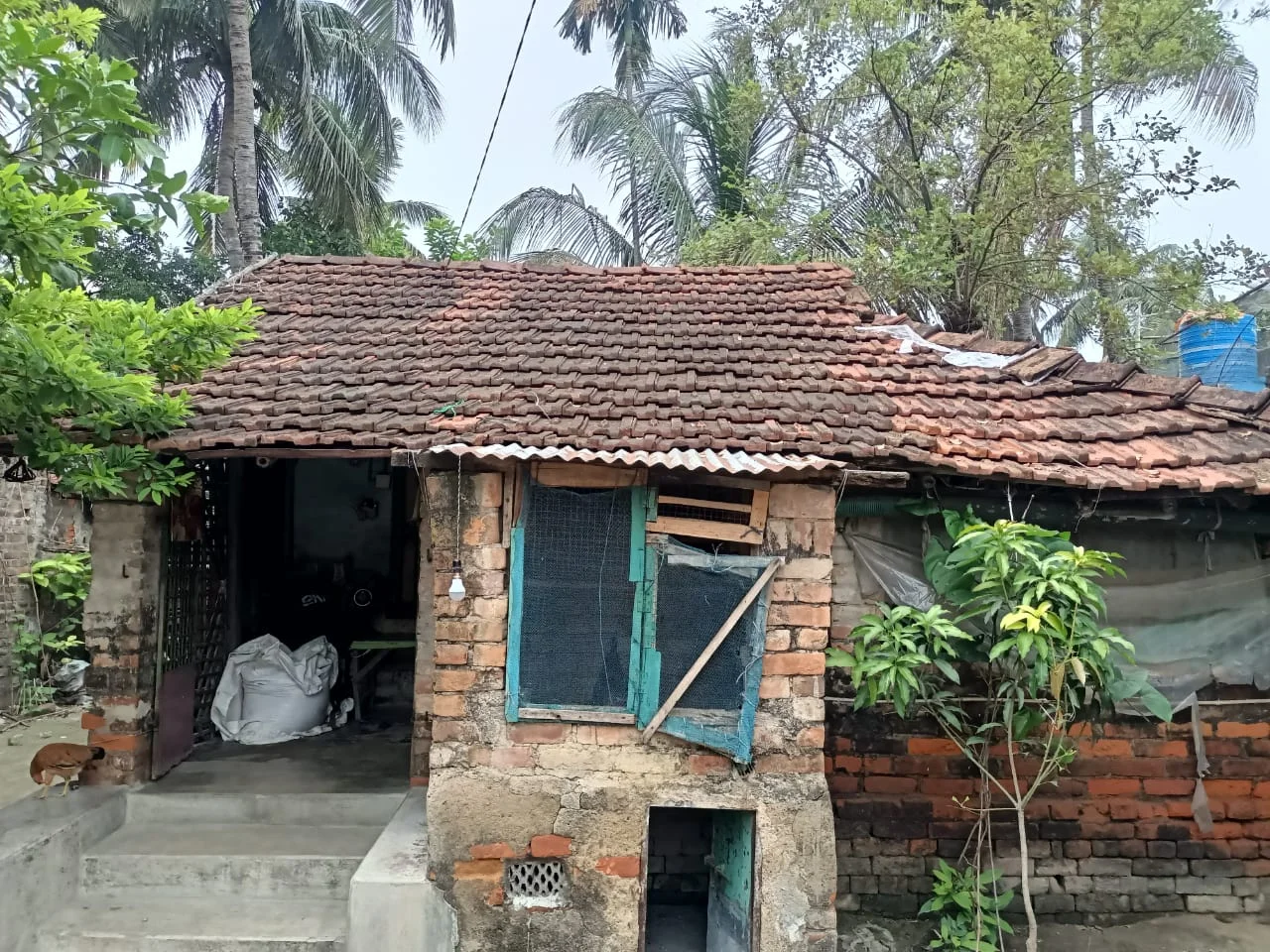 মাদ্রাসার কৃতি ছাত্রী রুকাইয়া সুলতানার পাশে  সংখ্যালঘু যুব ফেডারেশনের প্রতিনিধি দল