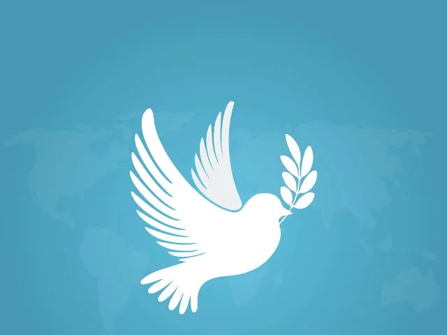 শান্তি রক্ষার বার্তা মুসলিম বুদ্ধিজীবীদের