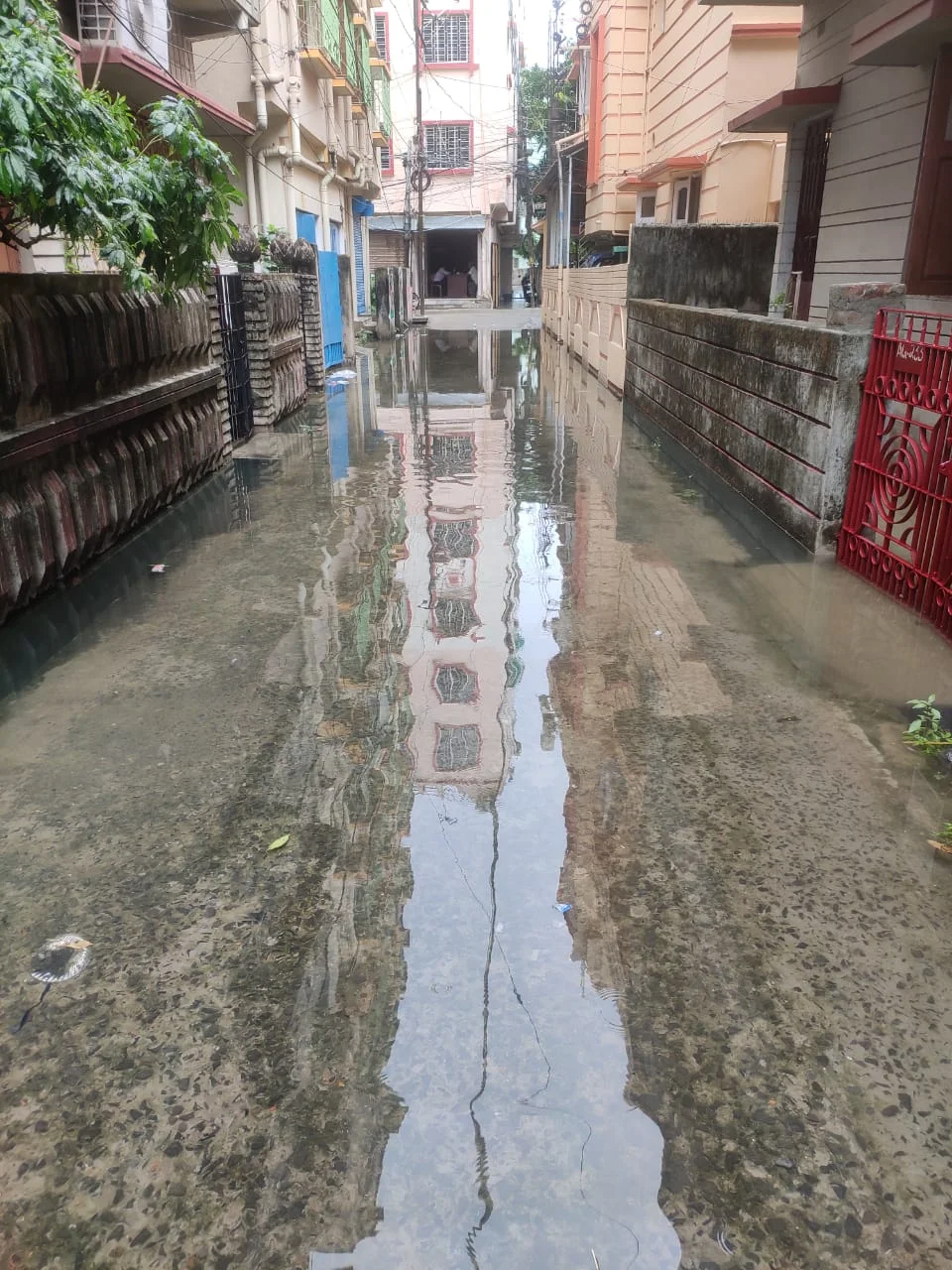 ঘণ্টাখানেকের বৃষ্টিতে জলমগ্ন নিউ টাউন ও বিধাননগর উপনগরীর একাংশ