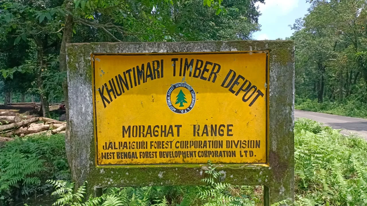 বনদফতরের নিলাম করা কাঠ নিয়ে যেতে খরচা দ্বিগুণের বেশি অর্থ