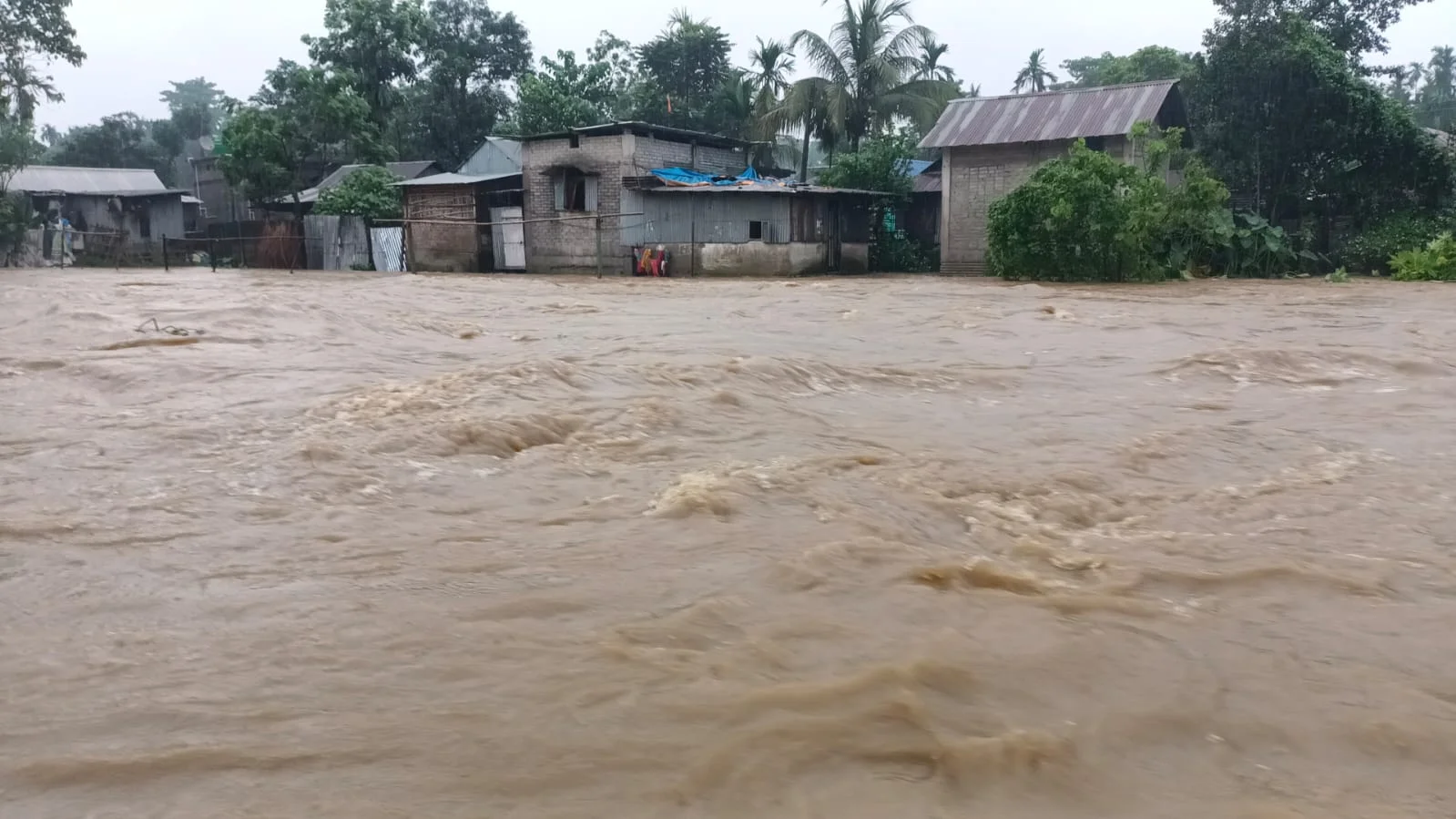 রাতভর টানা ভারী বৃষ্টিতে জলমগ্ন জলপাইগুড়ির পৌর এলাকার একাংশ
