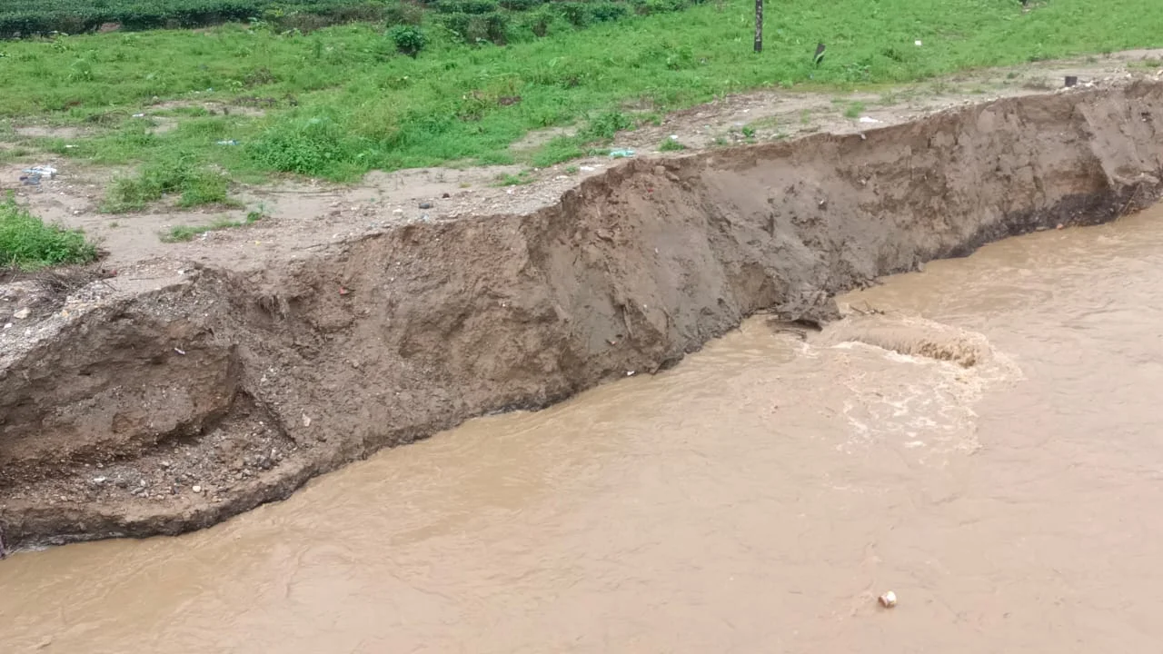 বৃষ্টির জেরে ক্ষতিগ্রস্ত চা বাগান