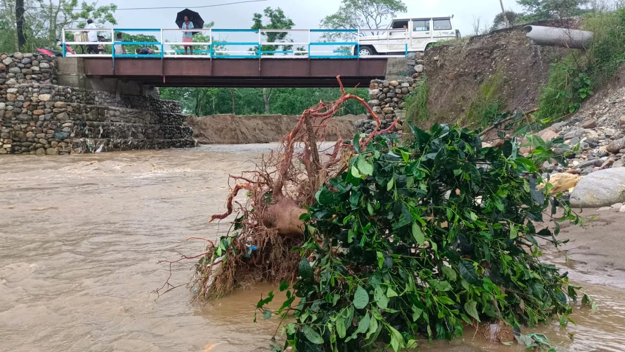 বৃষ্টির জেরে ক্ষতিগ্রস্ত চা বাগান